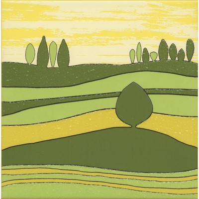 Бардини 5 20x20x0,69