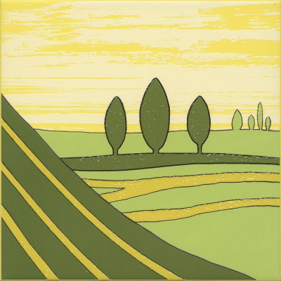 Бардини 4 20x20x0,69