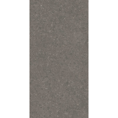 Чеппо Ди Гре коричневый матовый обрезной 119,5x238,5x1,1
