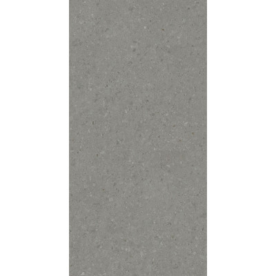 Чеппо Ди Гре серый тёмный матовый обрезной 119,5x238,5x1,1
