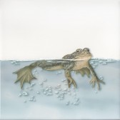 Чудо-Озеро 5 20x20x6,9