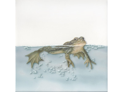 Чудо-Озеро 5 20x20x6,9