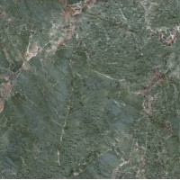 Керамогранит Эвора зеленый лаппатированный обрезной 60x60x0,9
