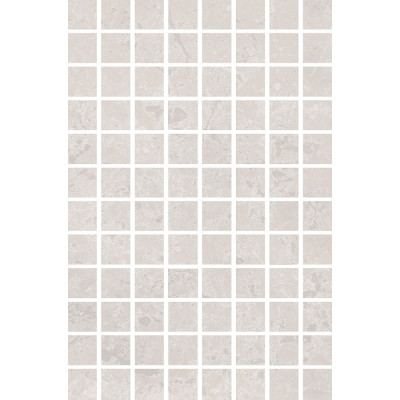 Ферони мозаичный серый светлый матовый 20x30x0,69