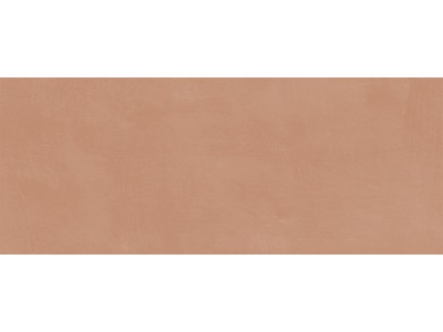 Плитка настенная Каннареджо оранжевый матовый 20x50x0,8
