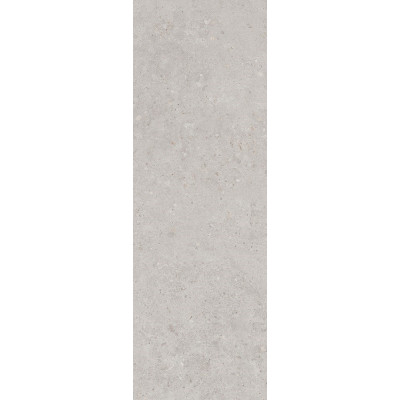Риккарди серый светлый матовый обрезной 40x120x1
