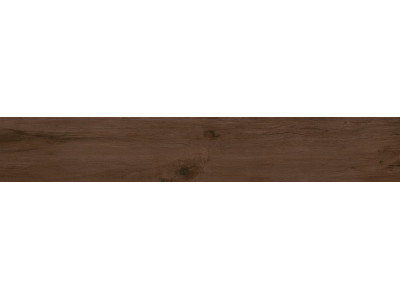 Сальветти вишня обрезной 20x119,5x0,9
