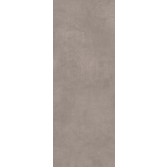 Beton Grigio Chiaro 119,5x320х11

