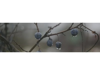 Декор Тракай 8 глянцевый 8,5x28,5x8,5