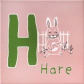 Зоопарк "H" матовый 20x20x6,9
