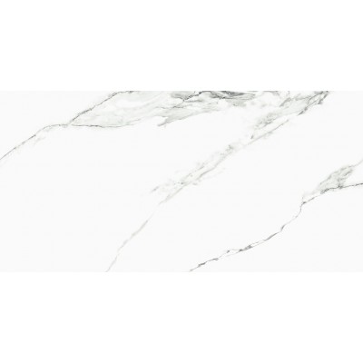 DENARIUS 60*120 (10 видов рисунка)
