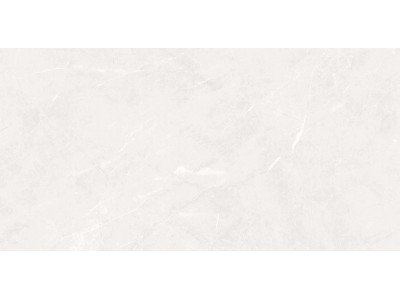 Керамогранит ISEA WHITE 60*120