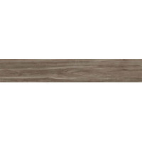 Керамогранит ALESSANDRIA CAMEL 19,5*120