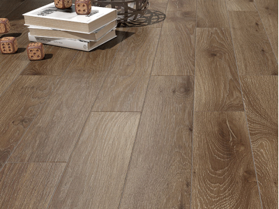 INGALLS GRIS 10*60 (26 видов рисунка)
