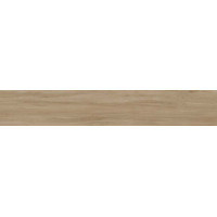 Керамогранит ALESSANDRIA ARCE 19,5x120x0,9