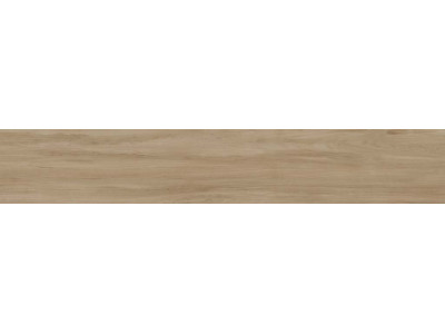 Керамогранит ALESSANDRIA ARCE 19,5x120x0,9