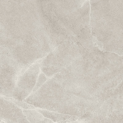 OLYMPIA ARENA 60x60 (20 видов рисунка)

