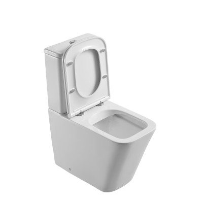 Унитаз-компакт безободковый D&K Berlin 610*345*825мм (DT1437016)