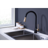 Смеситель для кухни DK Rhein.Schiller (DA1462517A)