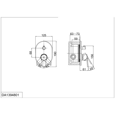 Смеситель для душа встраиваемый DK Rhein Marx (DA1394801)