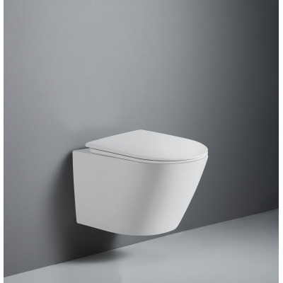 Унитаз подвесной безободковый (торнадо) DQ Rhein.Bach 500*360*350мм, сиденье микролифт, белый (DT1476516)