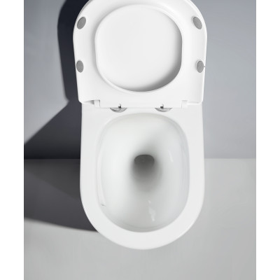 Унитаз подвесной безободковый (торнадо) DQ Rhein.Bach 500*360*350мм, сиденье микролифт, белый (DT1476516)