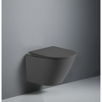 Унитаз подвесной безободковый (торнадо) DQ Rhein.Bach 500*360*350мм, сиденье микролифт, серо-белый (DT1476506)