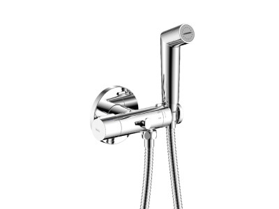 Подвесной безободковый унитаз IDDIS Axes
