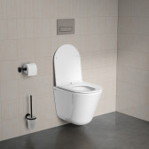 Подвесной безободковый унитаз IDDIS Ray
