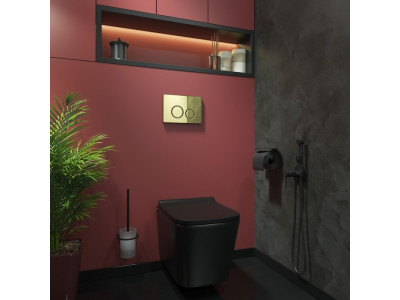 Золотая клавиша смыва IDDIS Unisteel 001
