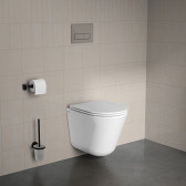 Подвесной безободковый унитаз IDDIS Ray
