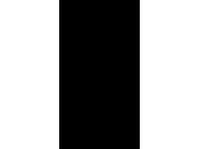 Кухонная мойка Lemark цвет: терракот, размер чаши: Ø410х210 (LM-18L-307)