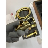 Смеситель встроенный с гигиеническим душем Timo Saona (2389/17SM) золото матовое
