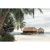 Ailand 60x40
