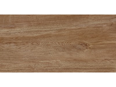 Плитка настенная Boho 50x24,9