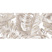 Bonita 50x24,9
