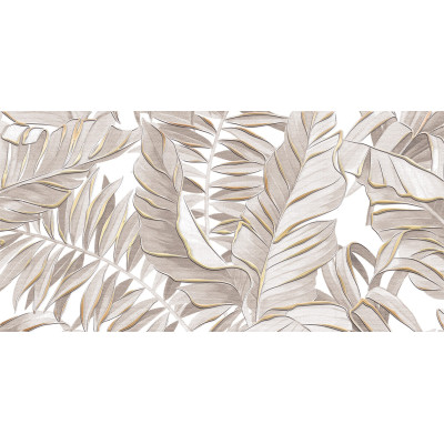 Bonita 50x24,9
