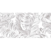 Bonita 50x24,9
