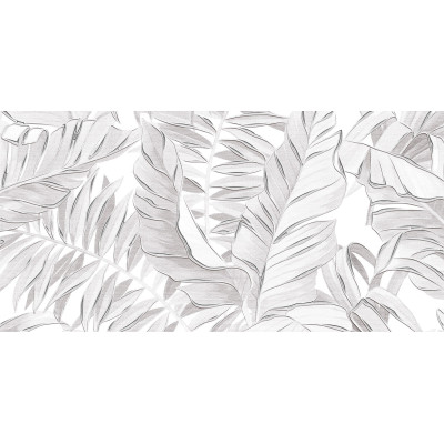 Bonita 50x24,9
