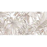 Bonita 50x24,9
