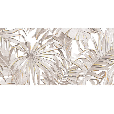 Bonita 50x24,9
