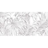 Bonita 50x24,9
