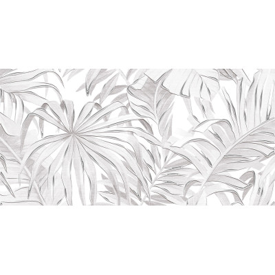 Bonita 50x24,9
