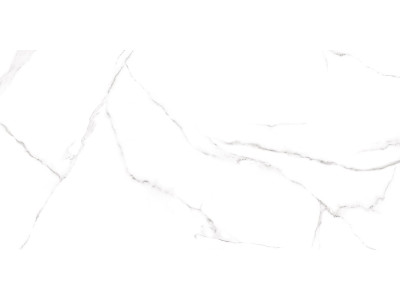 Carrara 120x60
