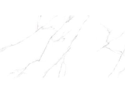 Carrara 120x60

