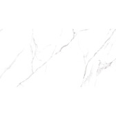 Carrara 120x60
