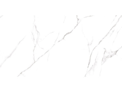Carrara 120x60
