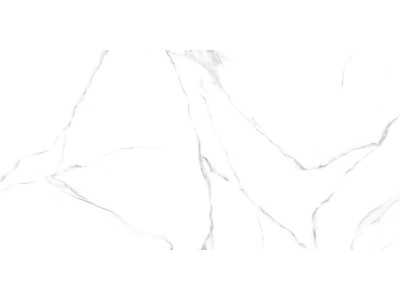 Carrara 120x60

