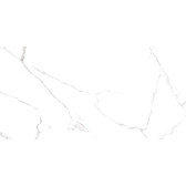 Carrara 120x60
