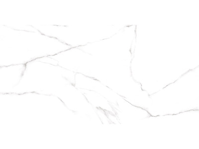 Carrara 120x60

